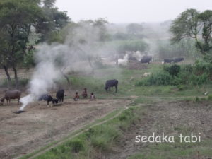 インドの農場のたき火