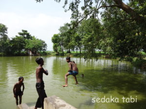 インドの溜め池で遊ぶ少年たち