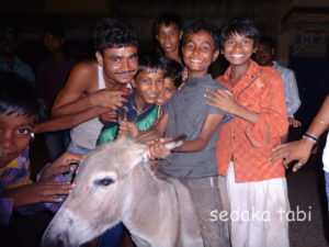 カメラに集まるインドの子供達とロバ